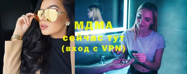 гидра Елабуга