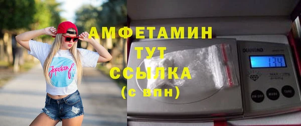 гидра Елабуга