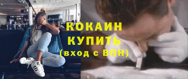 гидра Елабуга