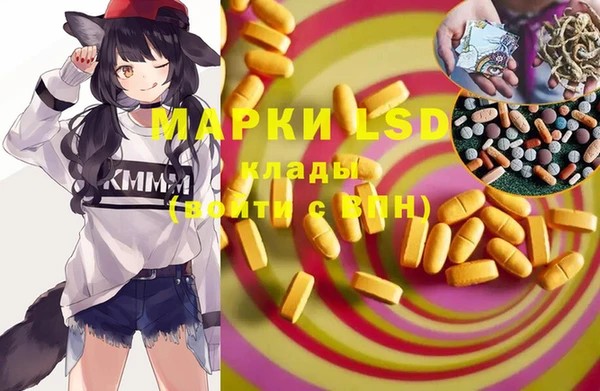 гидра Елабуга