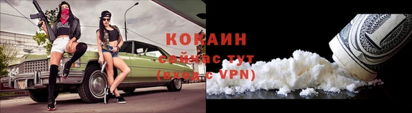 эйфоретик Ельня