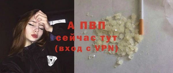 амф Елизово
