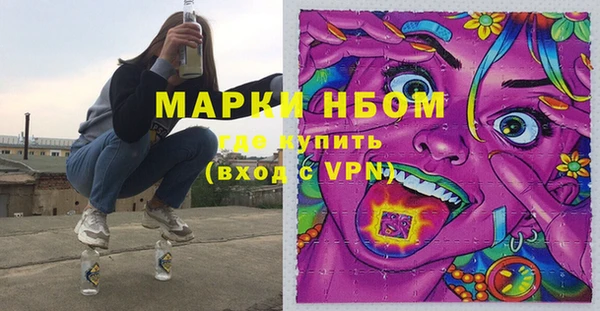 амф Елизово