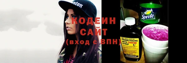 гидра Елабуга