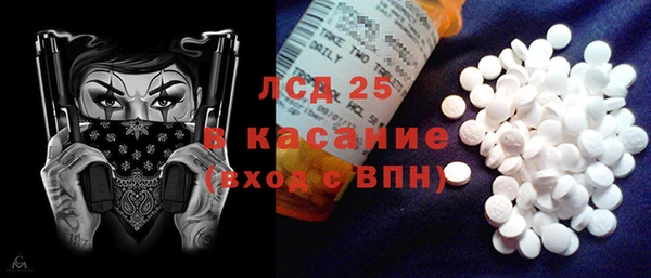 эйфоретик Ельня