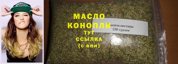 гидра Елабуга