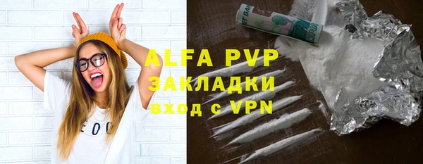 гидра Елабуга
