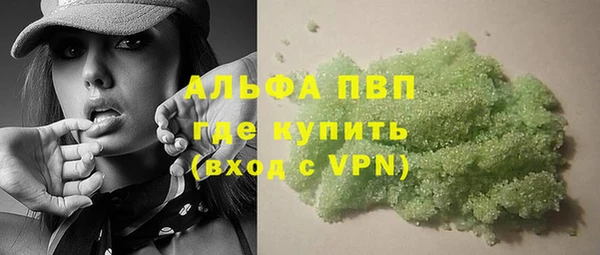 эйфоретик Ельня