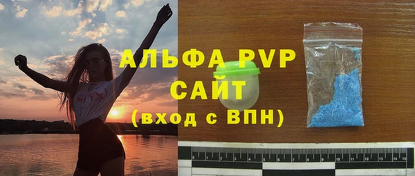 гидра Елабуга