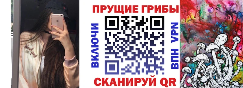 хочу наркоту  Кадников  Галлюциногенные грибы Psilocybine cubensis 